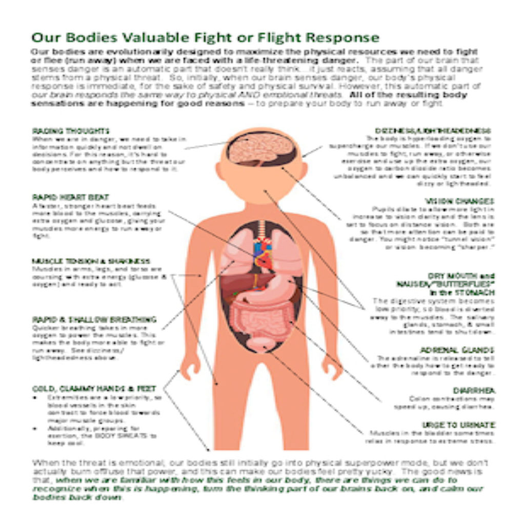 fight-or-flight-response-v1-0-thumb-andrea-s-ideas